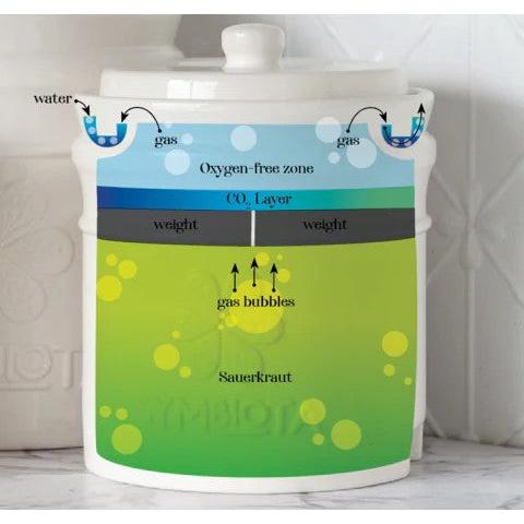Symbiota Fermenting Crock