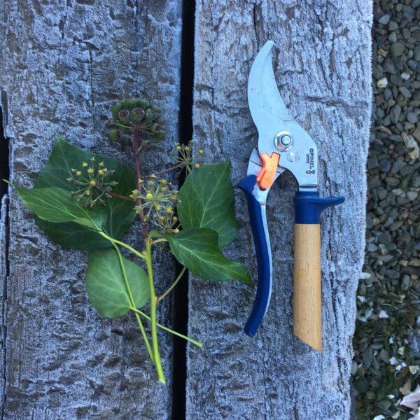 Opinel Gardening Shears