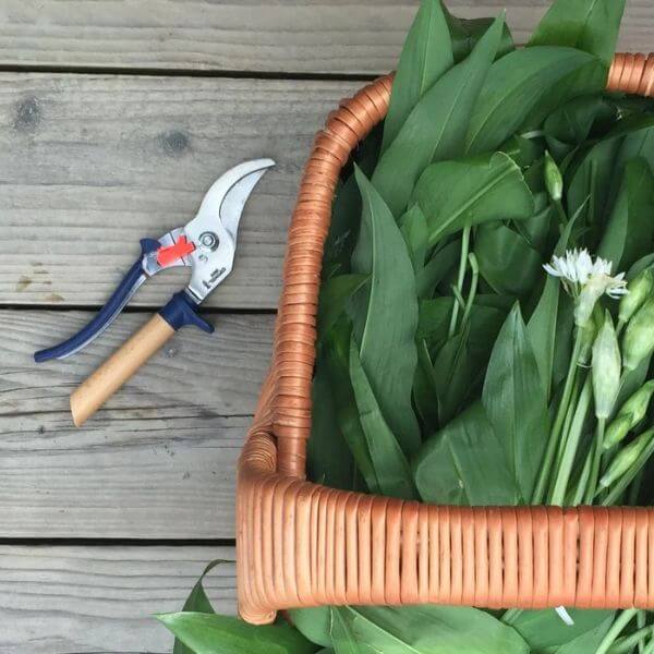 Opinel Gardening Shears