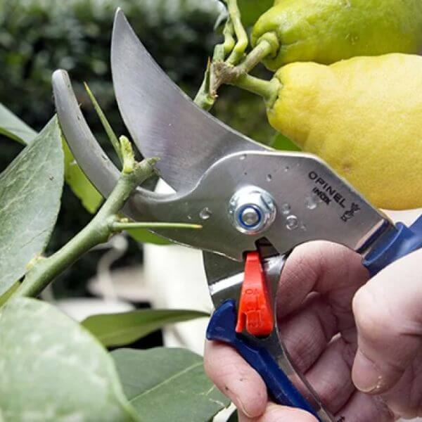 Opinel Gardening Shears