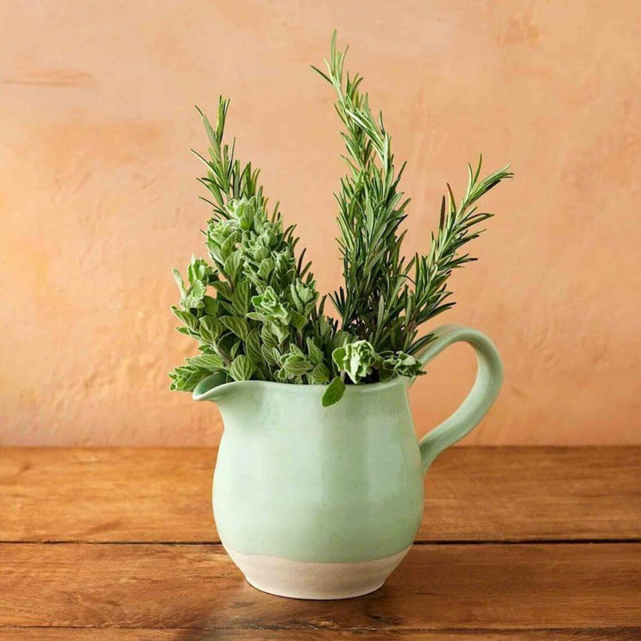 Jamie Oliver Big Love Joy Jug 650ml