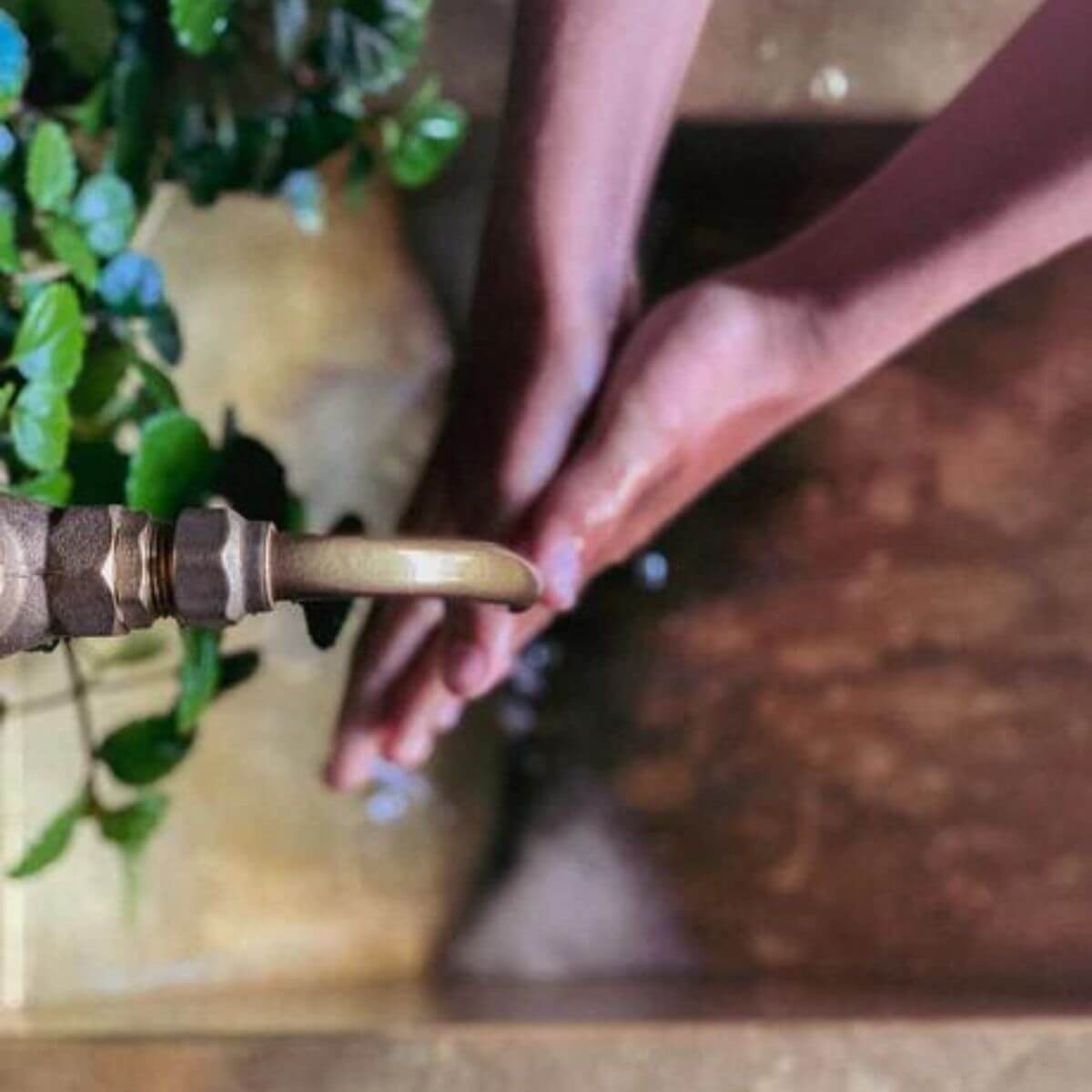 Restore Hand Wash Mānuka & Rose Geranium