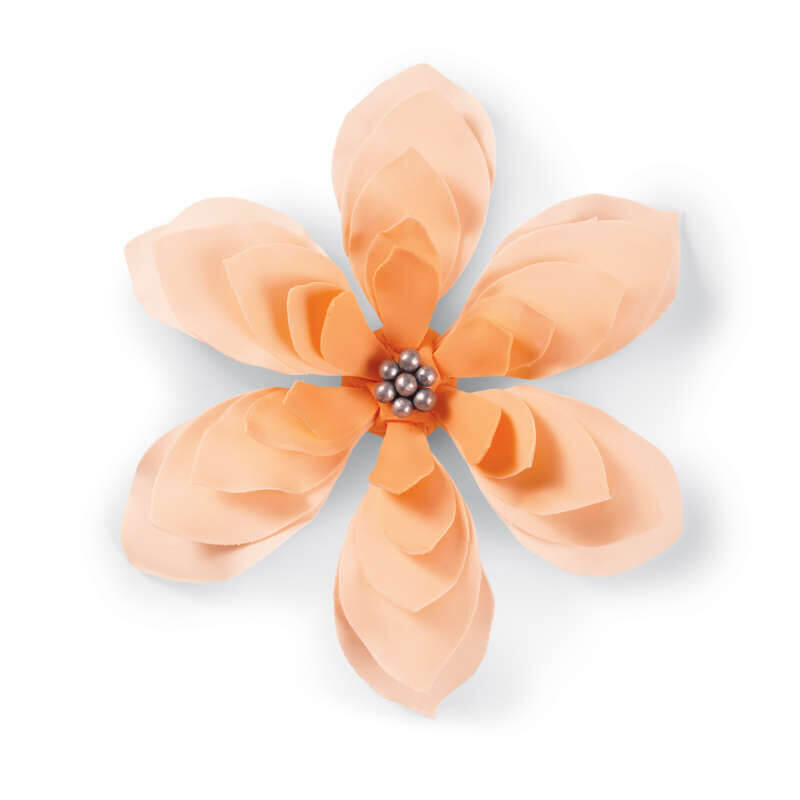 Wilton Succulent Cut Out Set