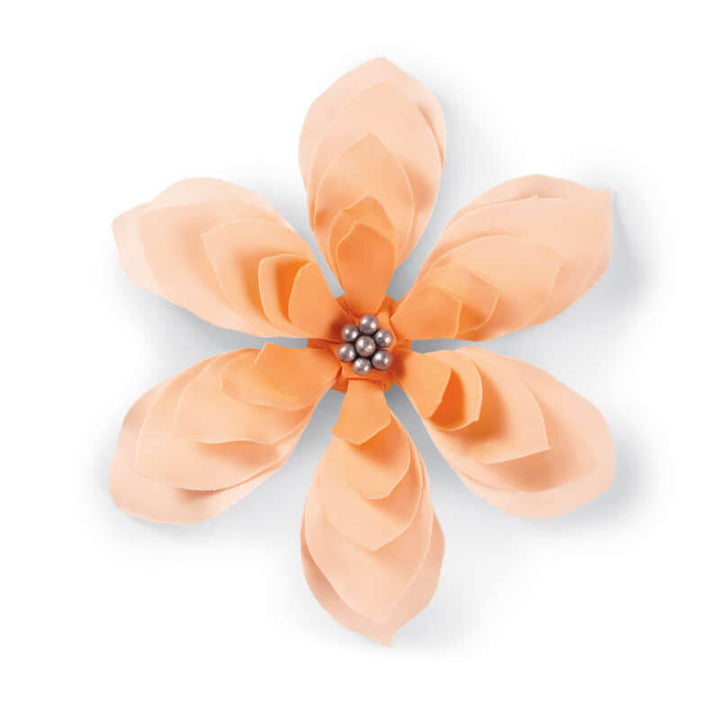 Wilton Succulent Cut Out Set