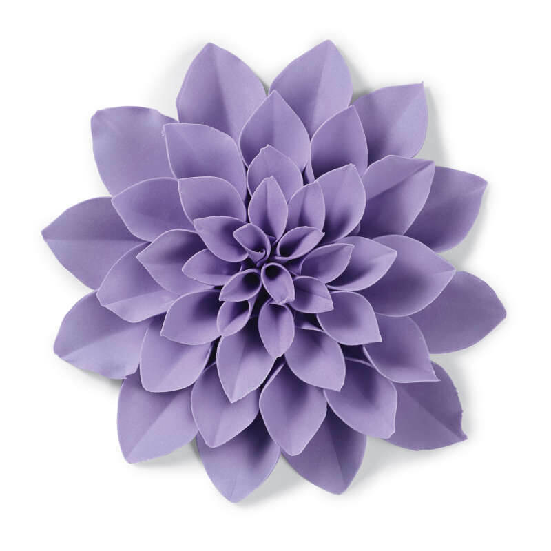 Wilton Succulent Cut Out Set