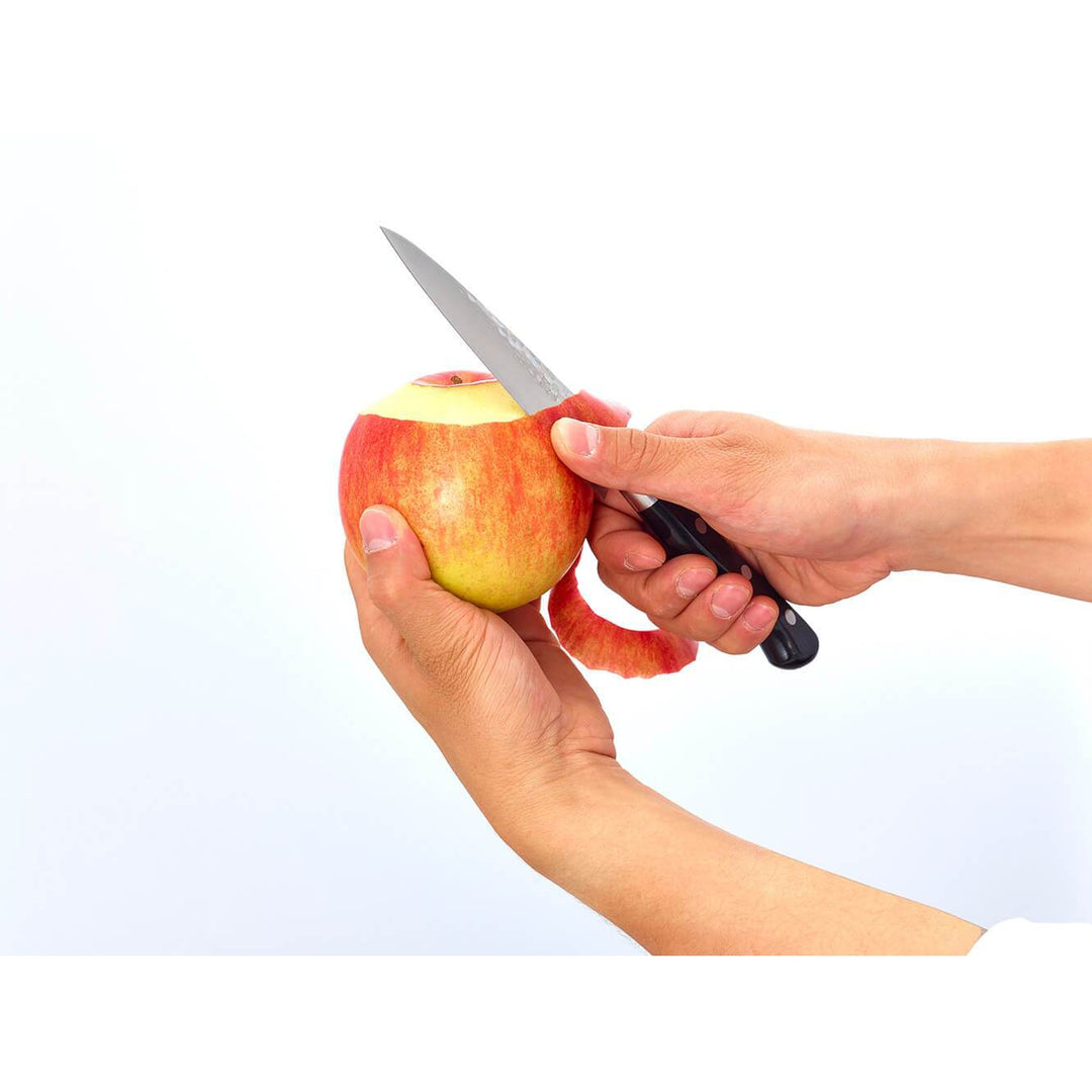 Kai Seki Magoroku Petty Knife 12cm