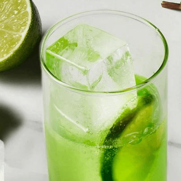 DrinksPlinks Slabs Ice Mould