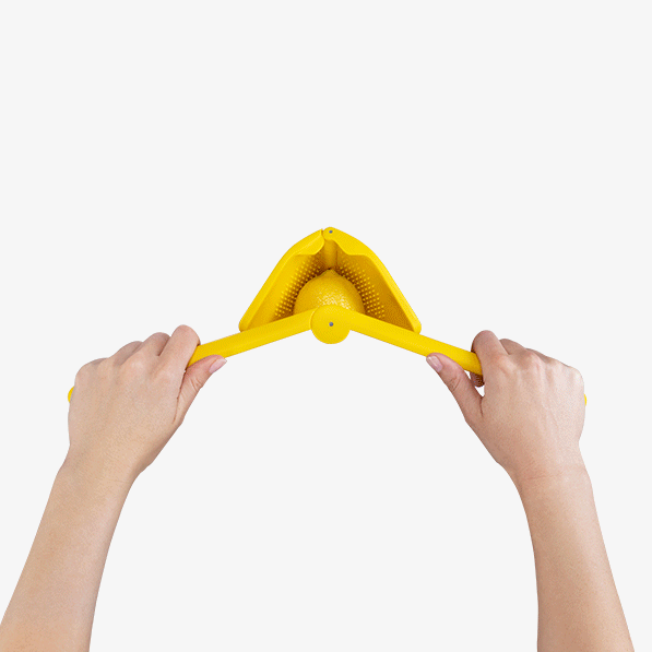 Dreamfarm Lemon Fluicer