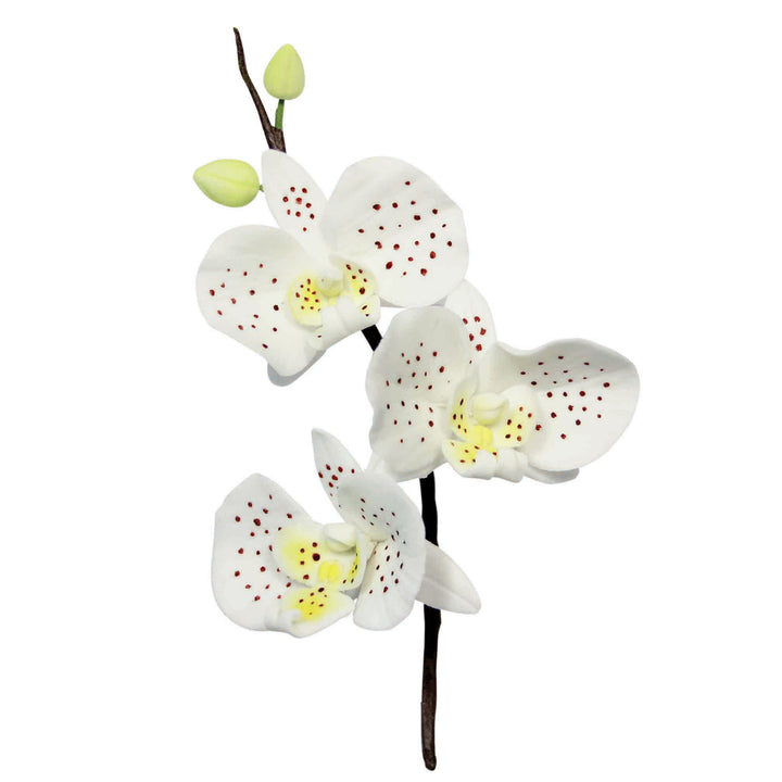 PME Moth Orchid Cutter Set