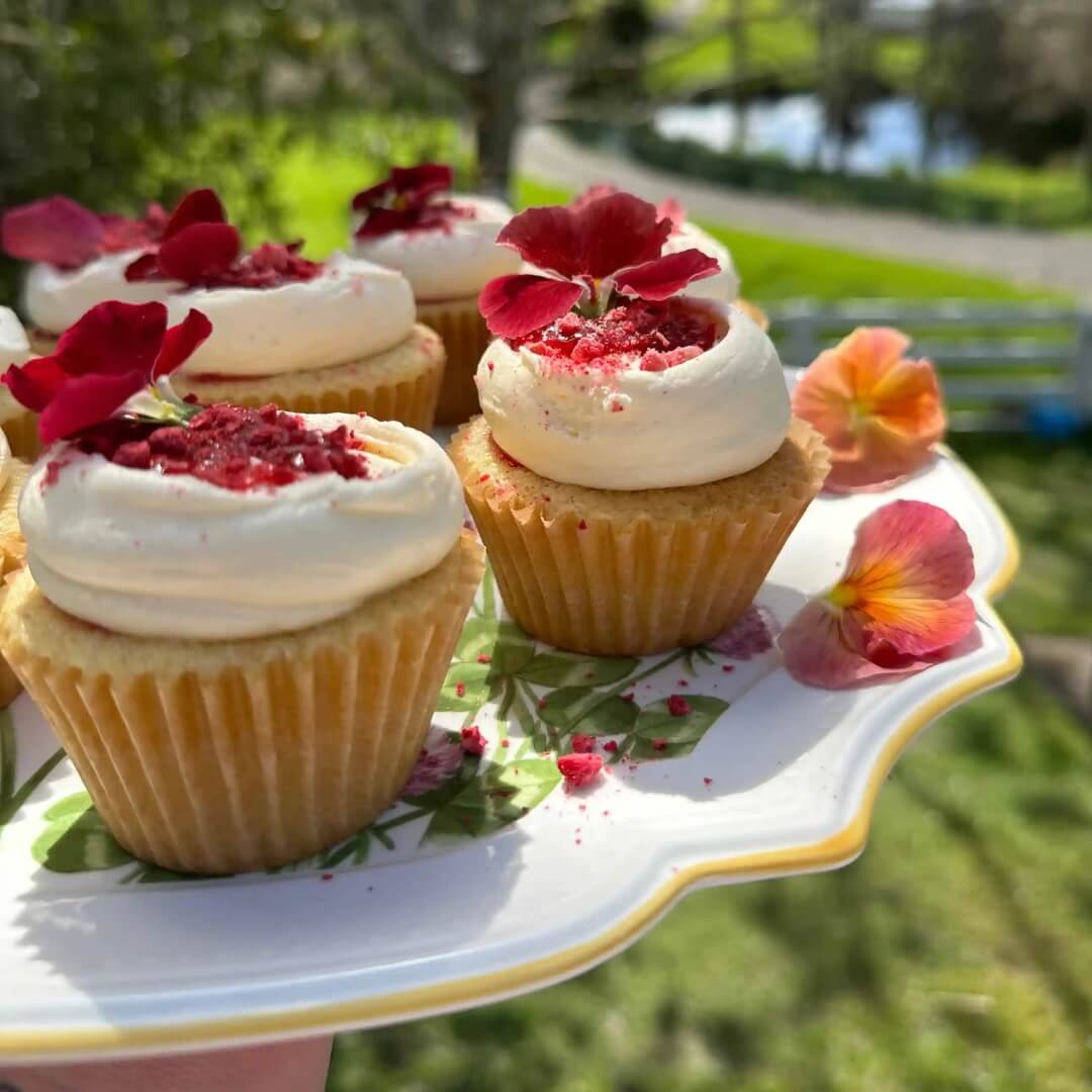 Michelle Morfett's Best Ever Vanilla Cupcakes