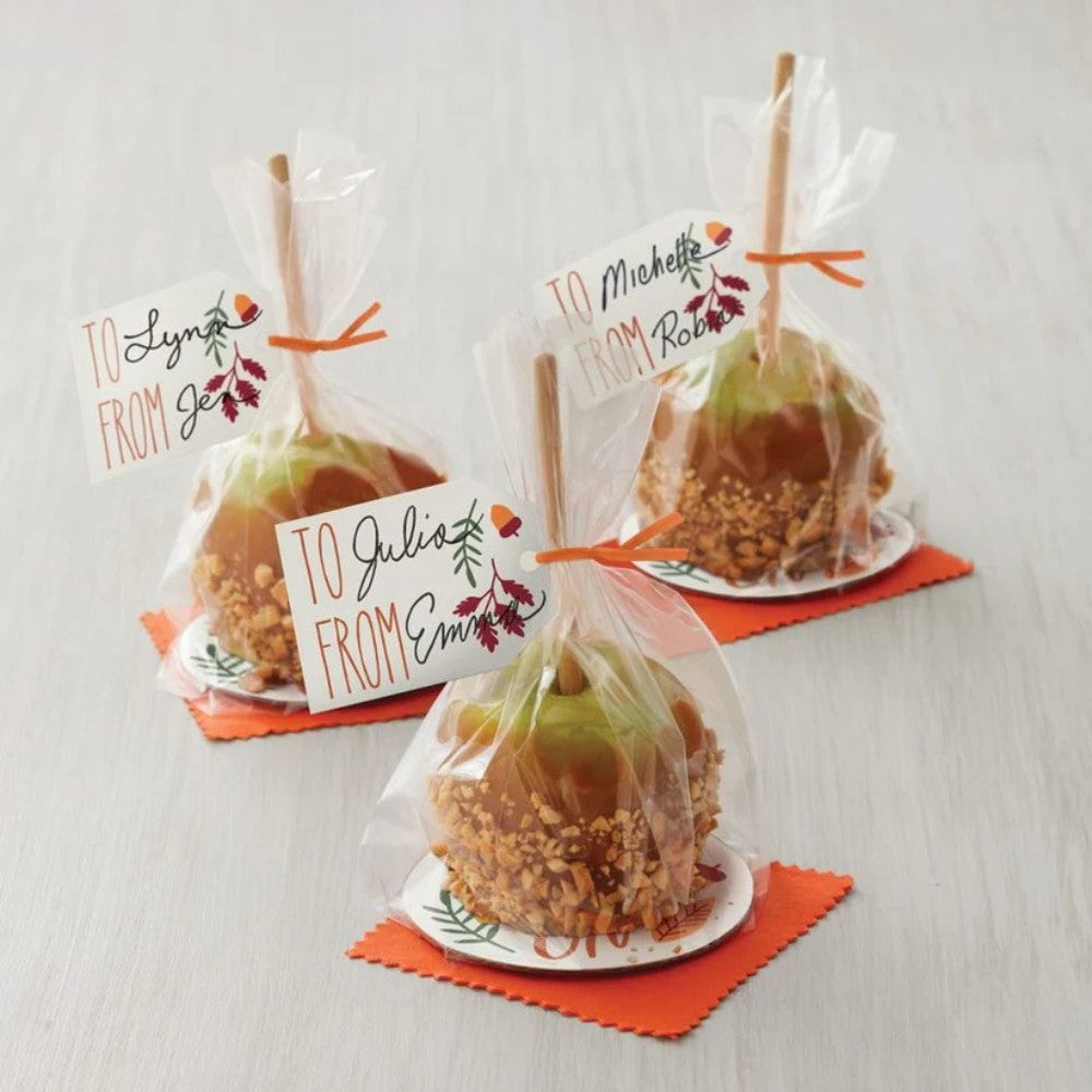 Wilton Bamboo Lollipop Sticks 5in 30pk