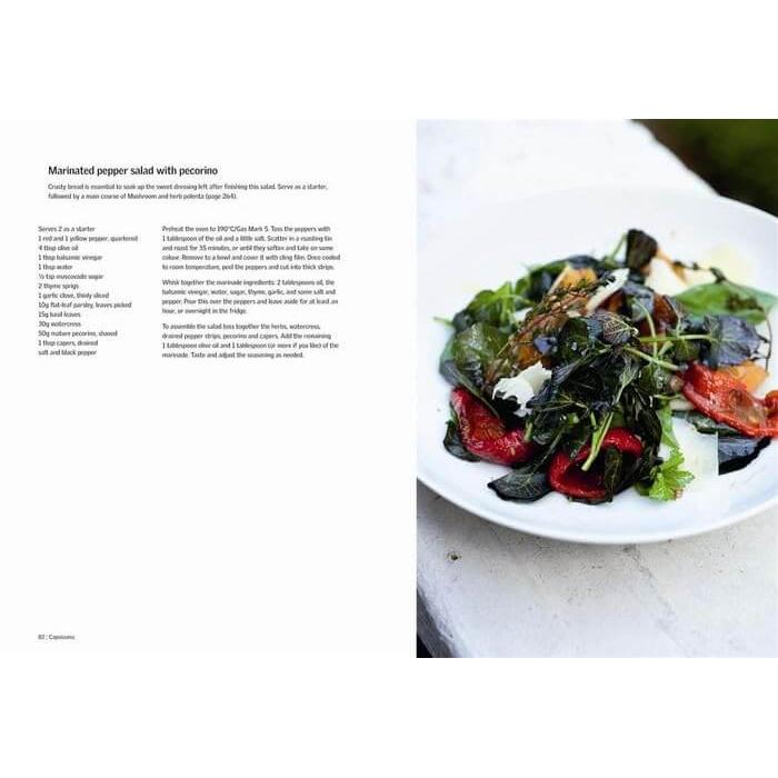 Yotam Ottolenghi: Ottolenghi Plenty