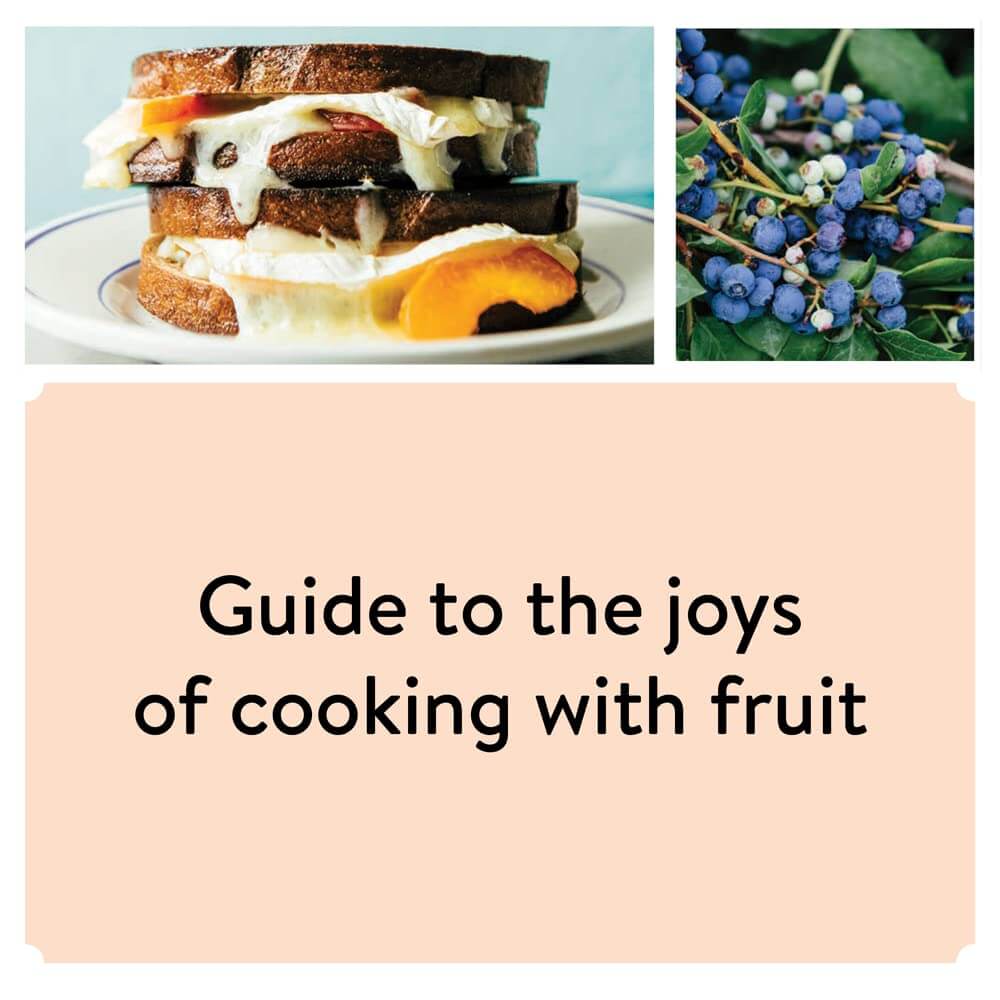 Pulp:  A Practical Guide to Cooking with Fruit