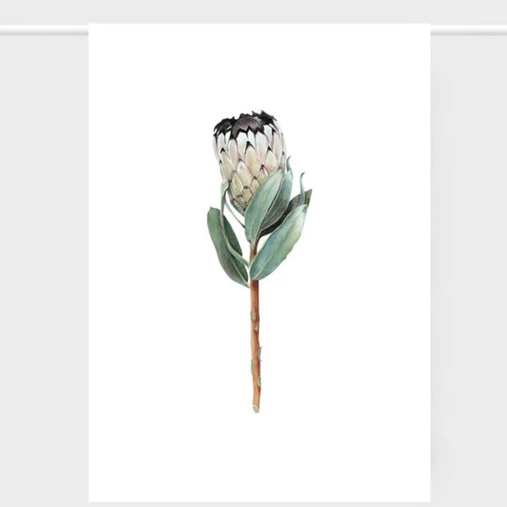 Father Rabbit Protea Linen Tea Towel