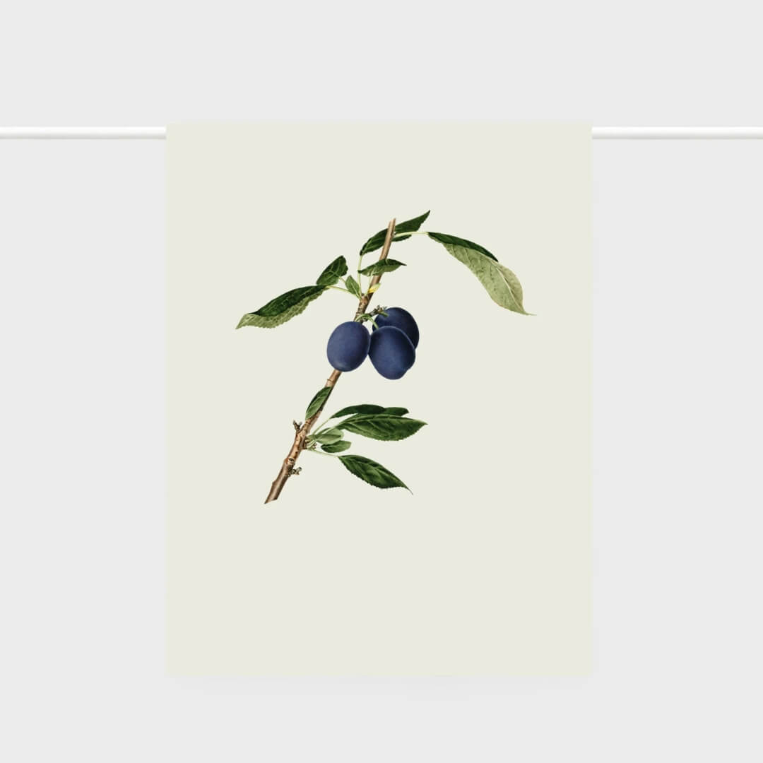 Lettuce Linen Tea Towel Plums