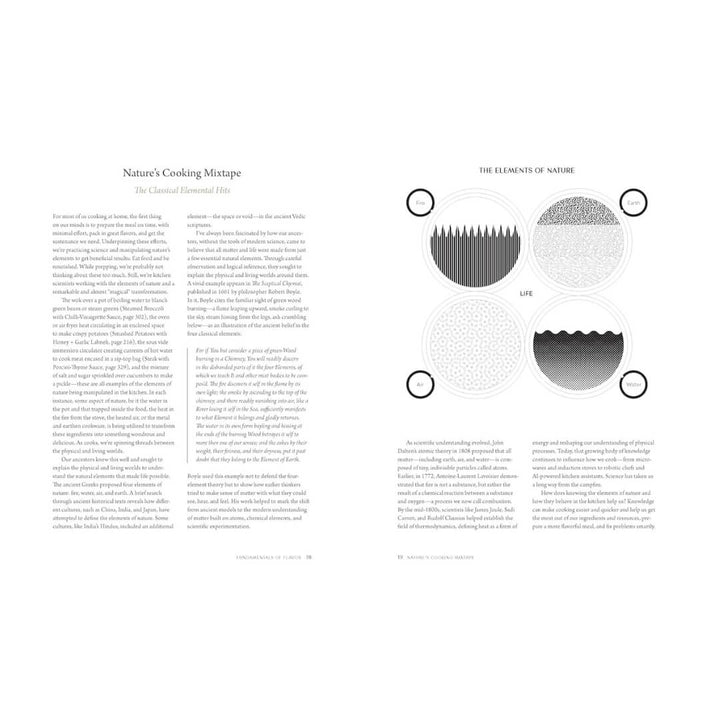 Nik Sharma: Fundamentals of Flavor