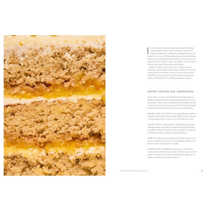 Elisa Sunga: Cake Picnic