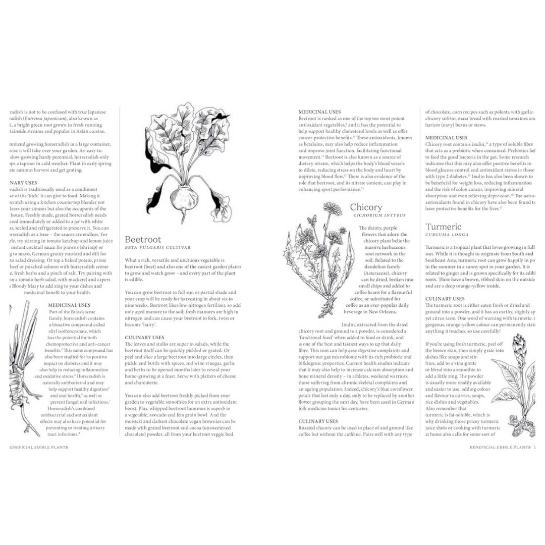 Natasha MacAller: The Apothecary Chef