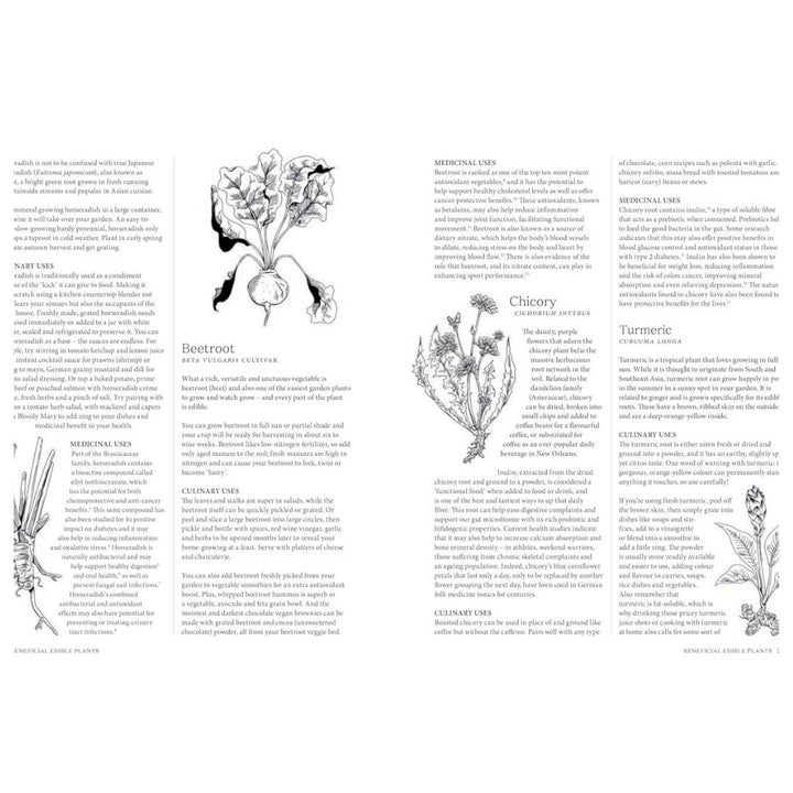 Natasha MacAller: The Apothecary Chef
