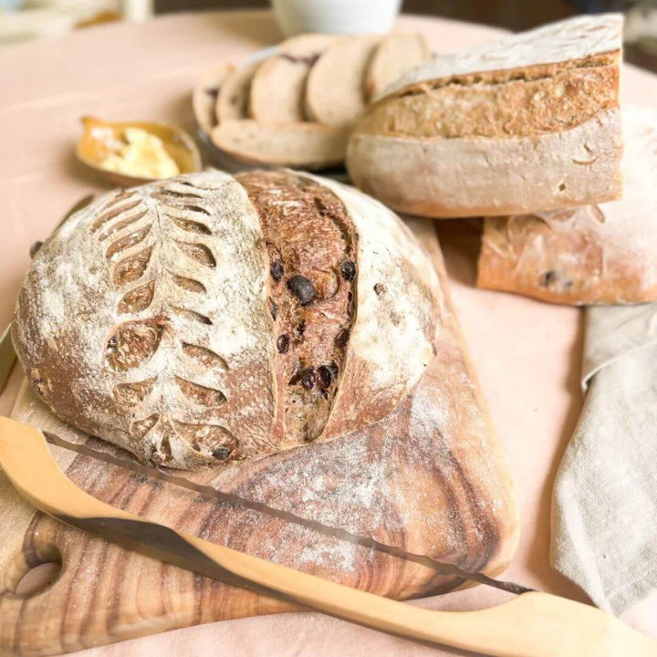 Traditional Organic Starter Satchet 20g
