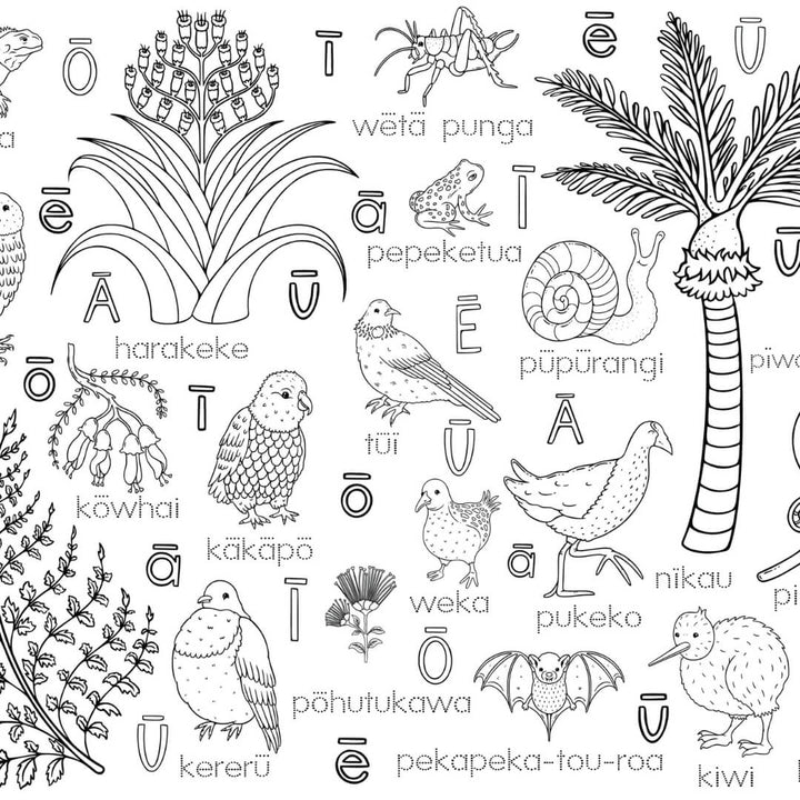 Colour Me Kids Hoa o te Ngahere Solo Mat Kit