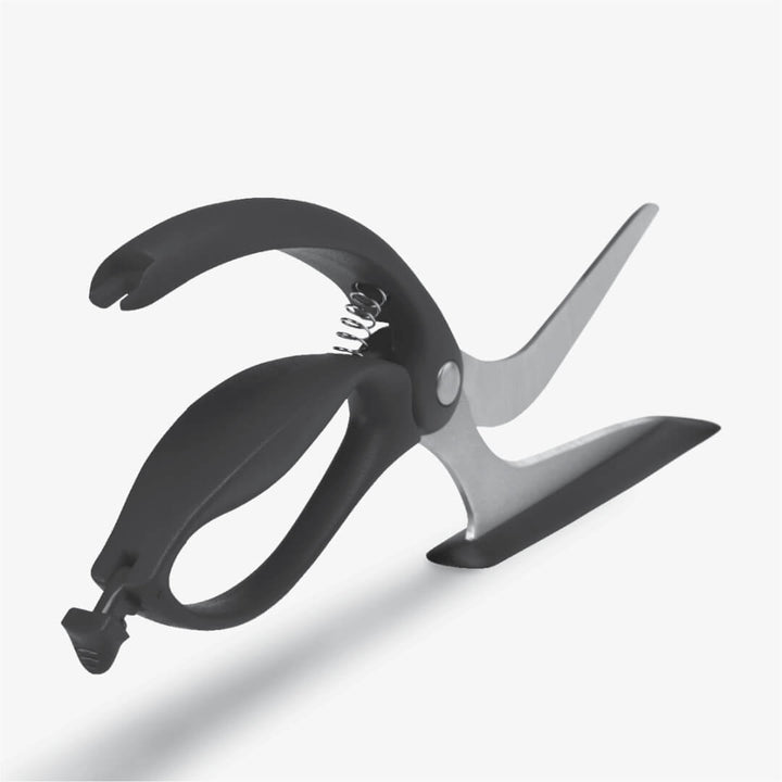 Dreamfarm Scizza 2-in-1 Pizza Cutter