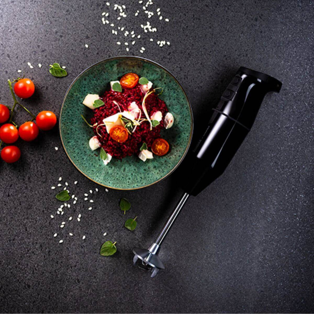 Bamix Cordless Plus Immersion Stick Blender