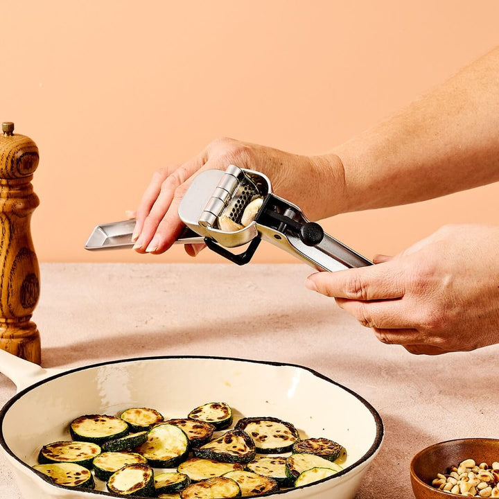 Dreamfarm Garject: Garlic Press