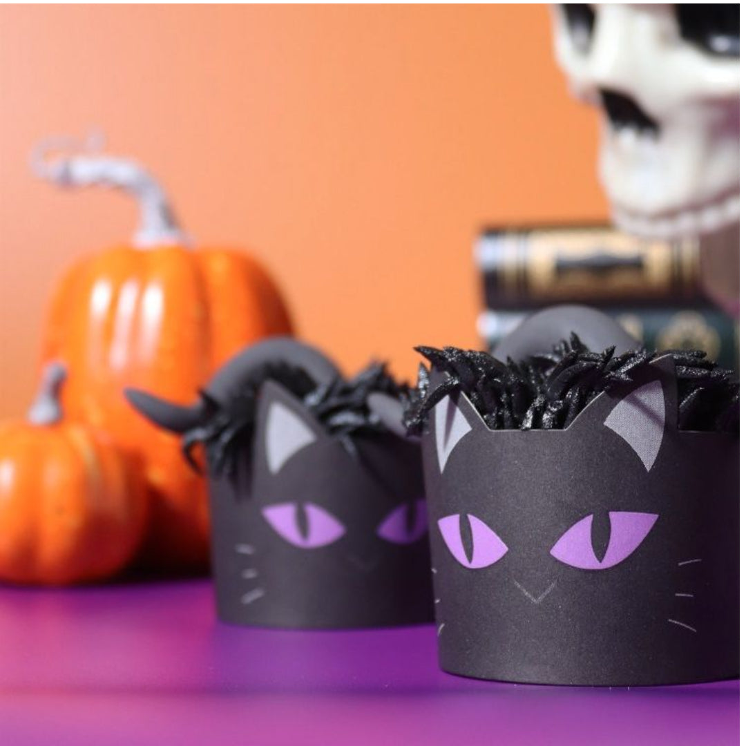 PME Black Cat Cups & Cases 12pk