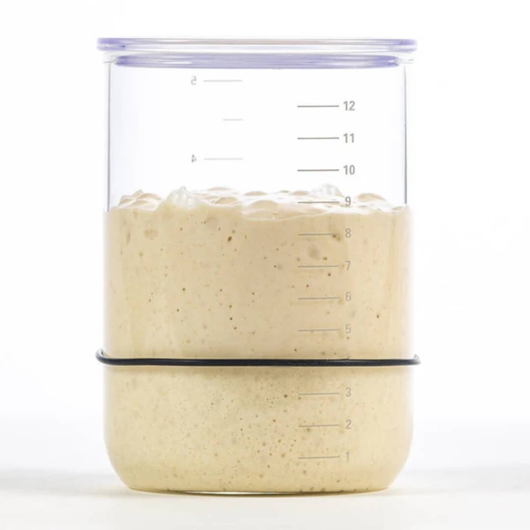Brød & Taylor Sourdough Starter Jar