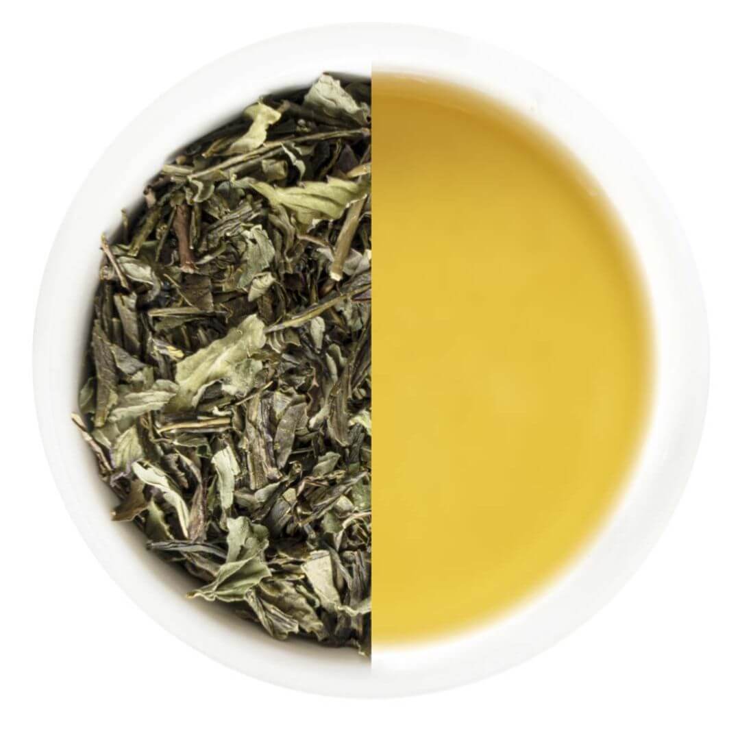 Monista Tea Oriental Garden Green Tea 60g