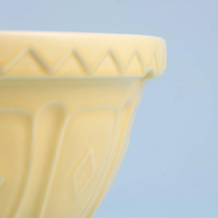 Mason Cash Colour Mix Butter Yellow Mixing Bowl