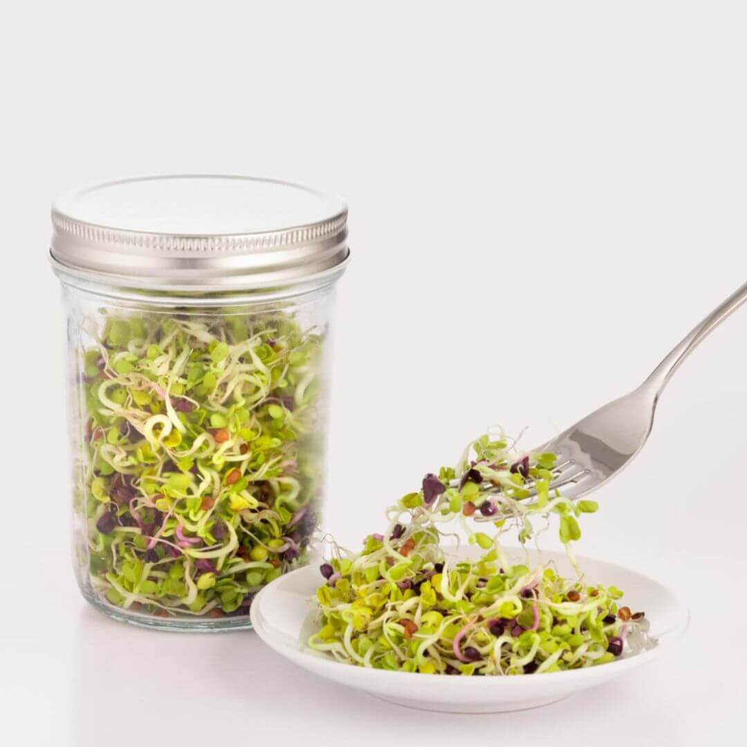 Kilner Sprouting Set 350ml