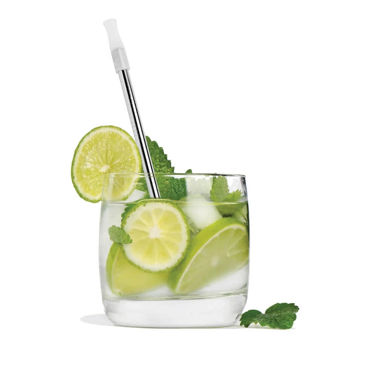 Avanti Stainless Cocktail Straws with Brush Set of 6