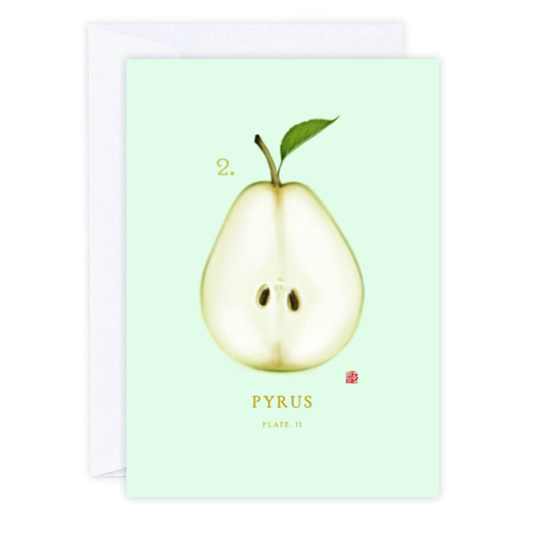 Studio Sue Vintage Pear Gift Card