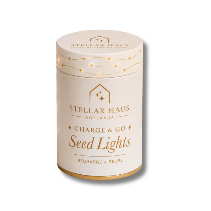 StellarHaus Charge & Go Indoor Copper Warm White Seed Lights 2m