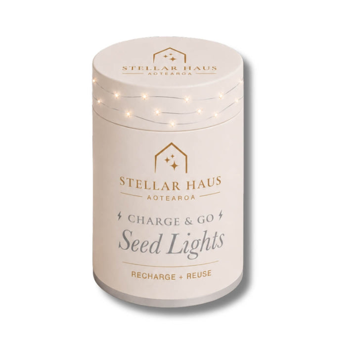 StellarHaus Charge & Go Indoor Silver Warm White Seed Lights 2m