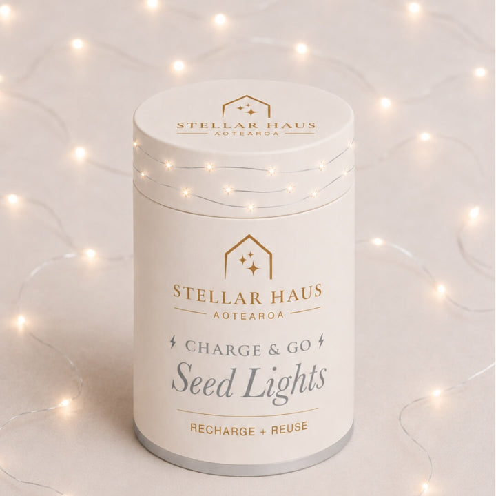 StellarHaus Charge & Go Indoor Silver Warm White Seed Lights 2m