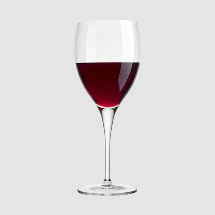 Luigi Bormioli Michelangelo Wine Glasses Set of 4