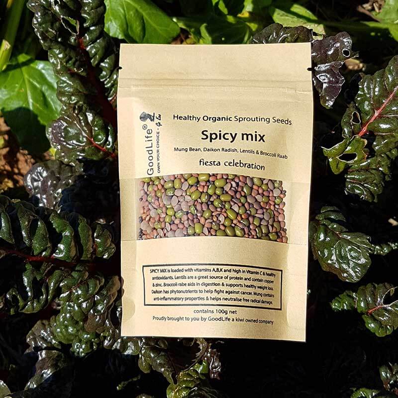 GoodLife Organic Spicy Mix Seeds 100gm