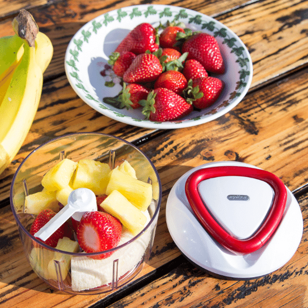 Zyliss Easy Pull Food Chopper