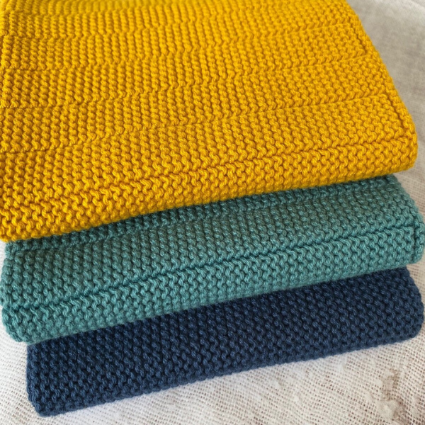 Ecovask Dishcloths 3pk Pool Party