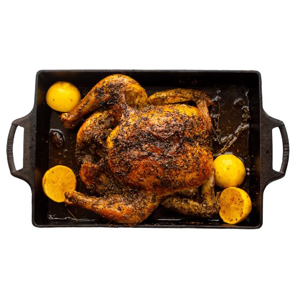 Lodge Cast Iron Roaster 23x33cm with Silicone Grips
