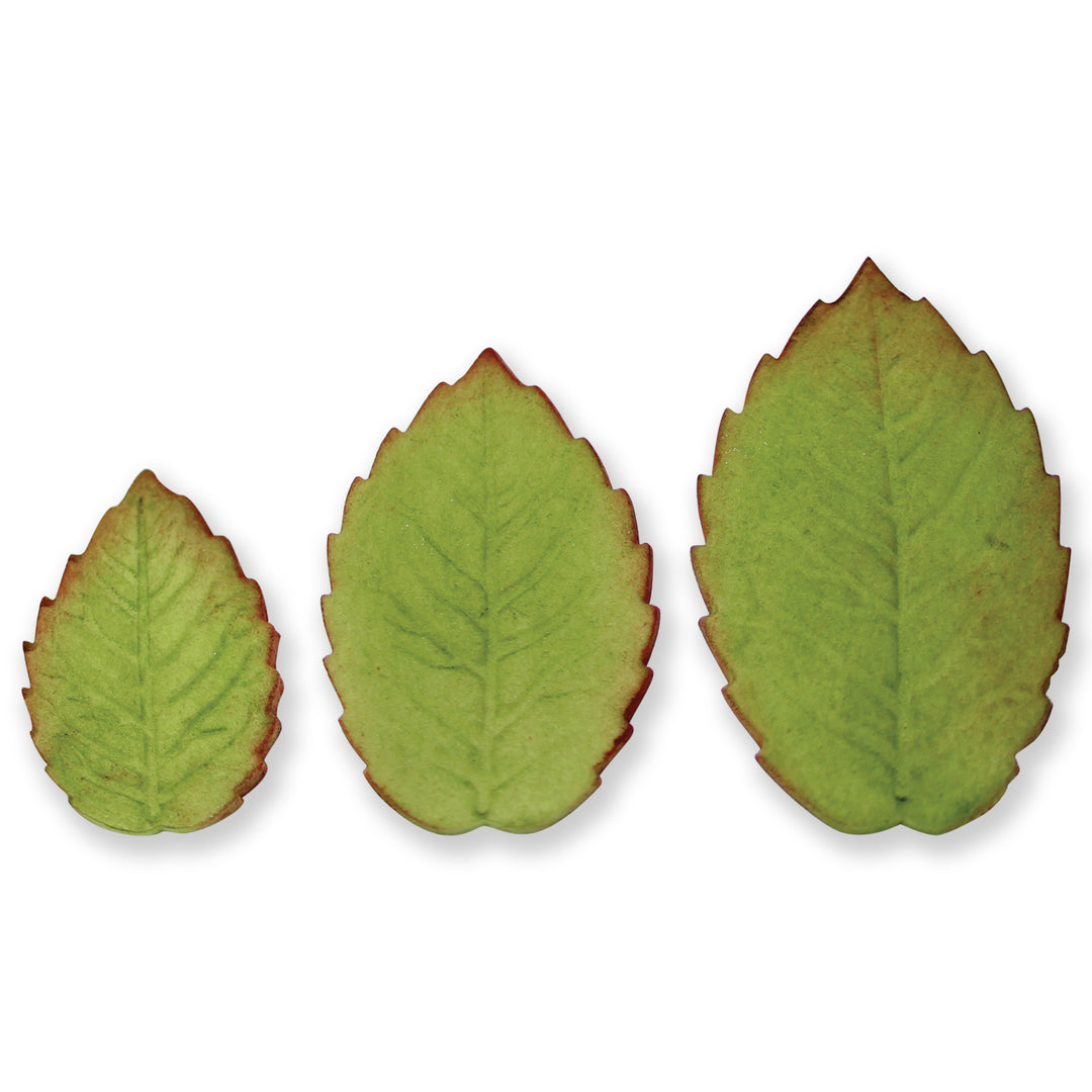 PME Plunger Cutters Larger Veined Rose Leaf 3pc Set
