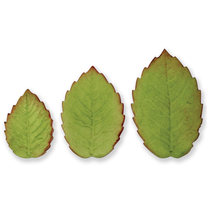 PME Plunger Cutters Larger Veined Rose Leaf 3pc Set