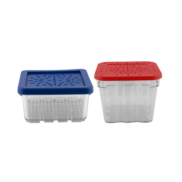 Fresh Berry Storage Baskets 2pce