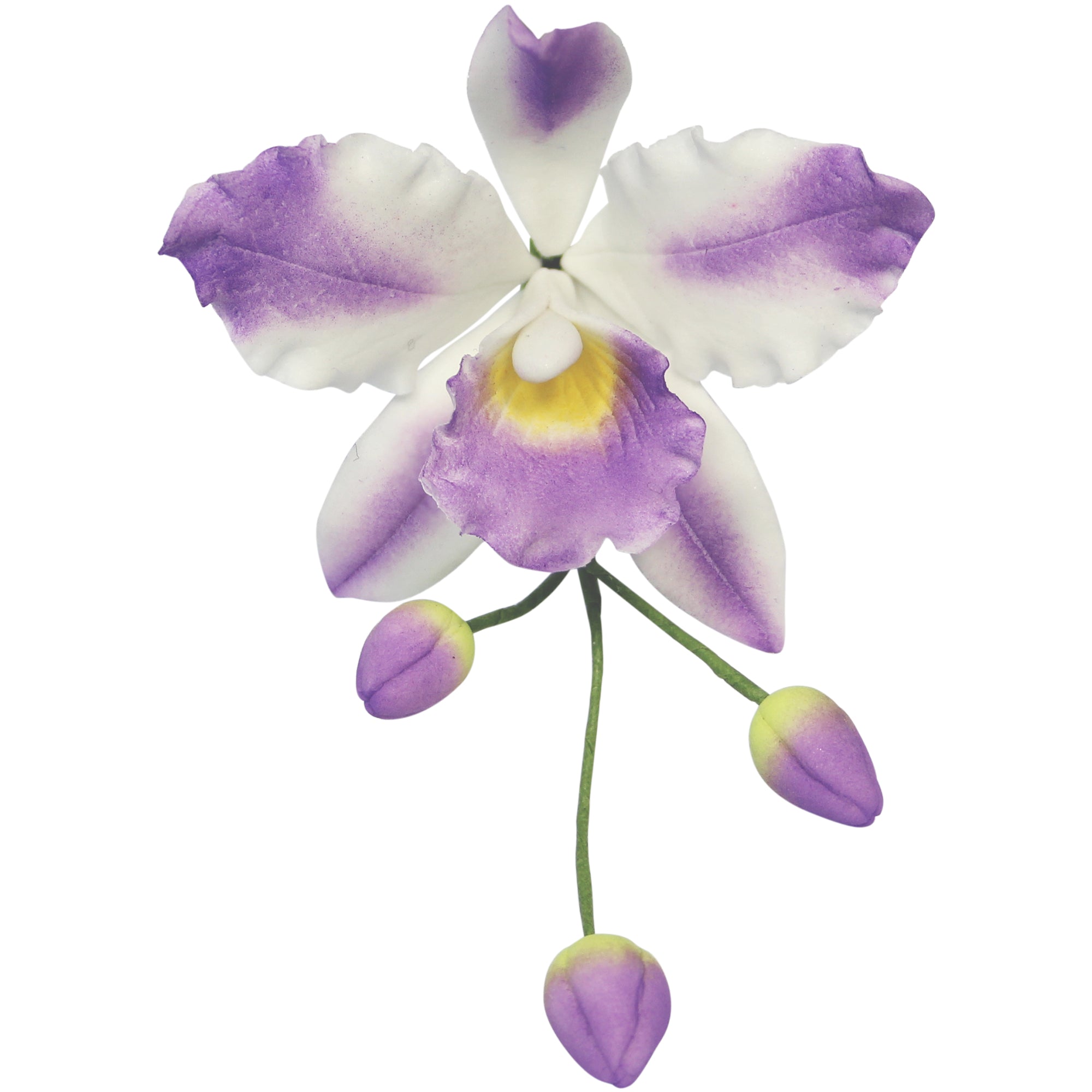 PME Cattleya Orchid Cutter Set