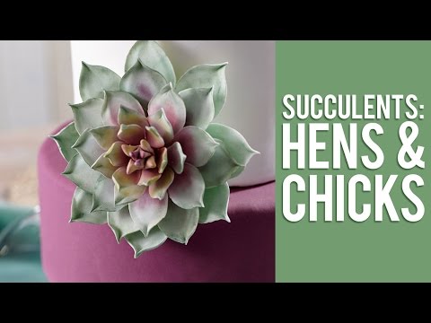 Wilton Succulent Cut Out Set